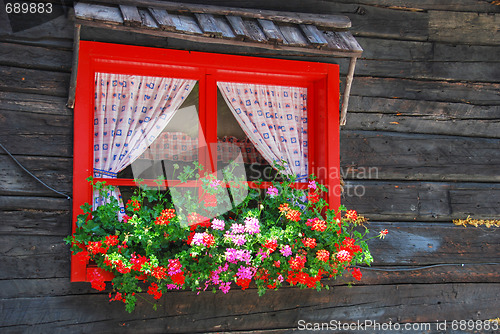 Image of Flowers at the Window, Dolomites, Italy, August 2007