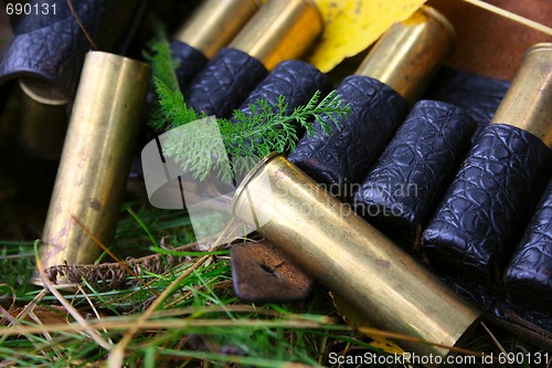 Image of Hunting cartridges and cover