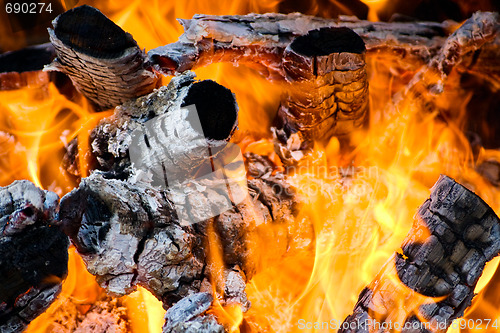 Image of Burns of firewood