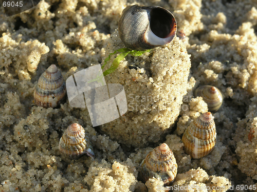 Image of sandcastle