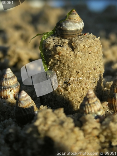 Image of sandcastle