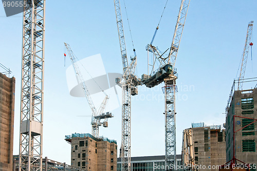 Image of Cranes