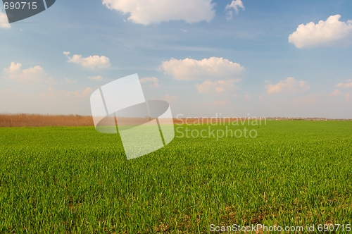 Image of Field