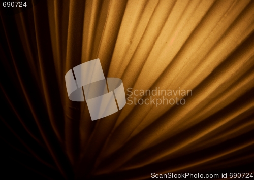 Image of Background