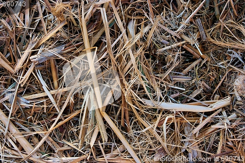 Image of Organic