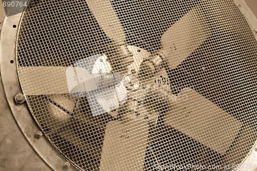 Image of Fan