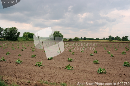 Image of Agriculture