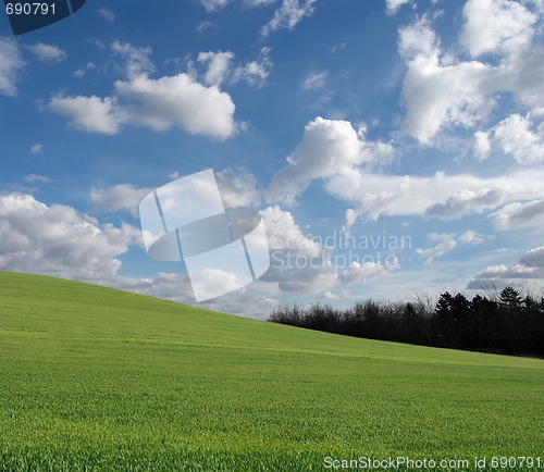 Image of Green