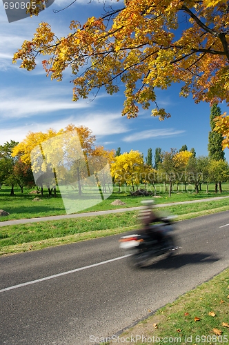 Image of Biker