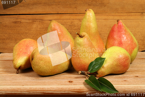 Image of Autumn fruit