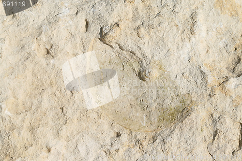 Image of Limestone rock