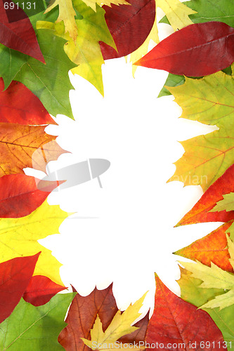 Image of Autumn leaves design