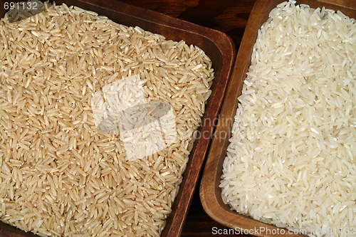 Image of Rice