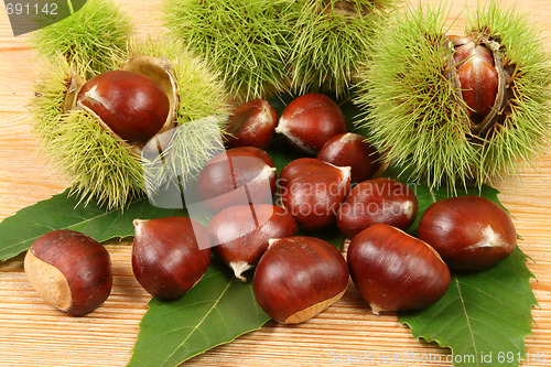 Image of Chestnuts.