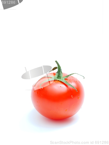 Image of Tomato