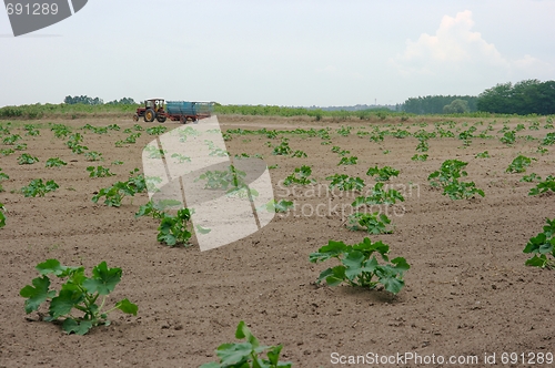 Image of Agriculture