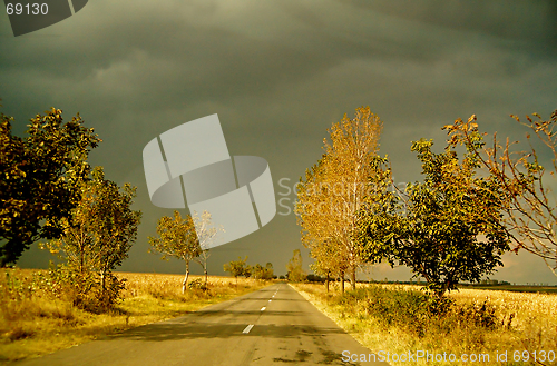 Image of In line road in autumn