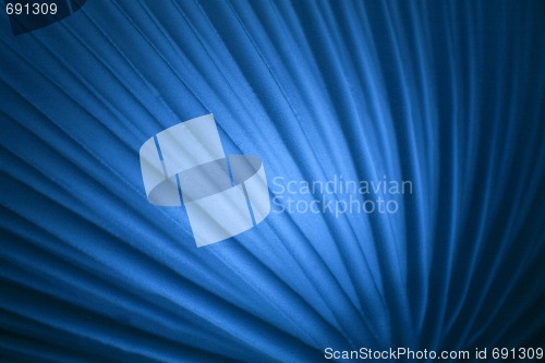 Image of Blue