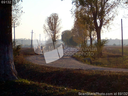 Image of Wagon on rural road