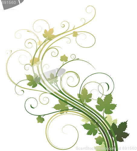 Image of floral background