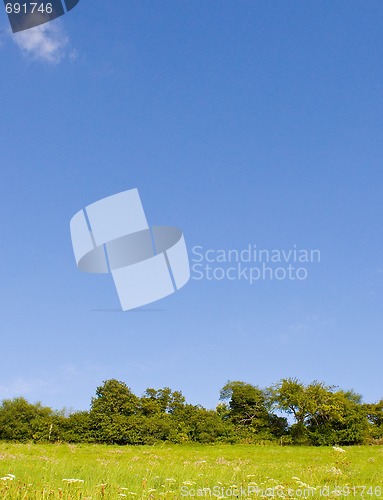 Image of Idyllic meadow in summer