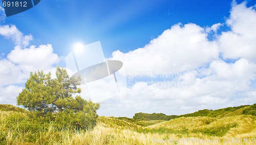 Image of Idyllic dunes with sunlight
