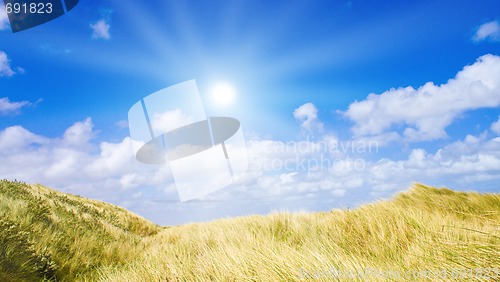 Image of Idyllic dunes with sunlight