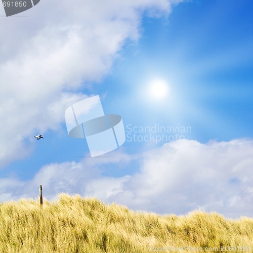 Image of Idyllic dunes with sunlight