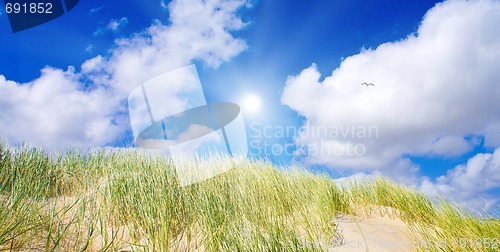 Image of Idyllic dunes with sunlight