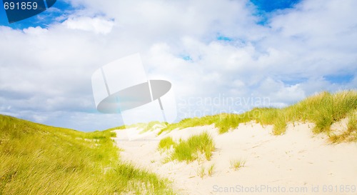 Image of Idyllic dunes with sunlight
