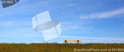 Image of Idyllic lawn with bench