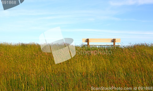 Image of Idyllic lawn with bench