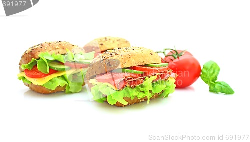 Image of Fresh sandwich with vegetables