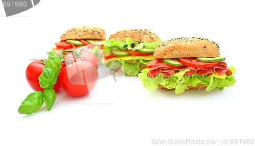 Image of Fresh sandwich with vegetables