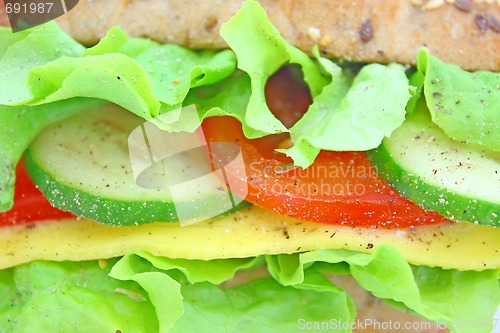 Image of Fresh sandwich with cheese and vegetables