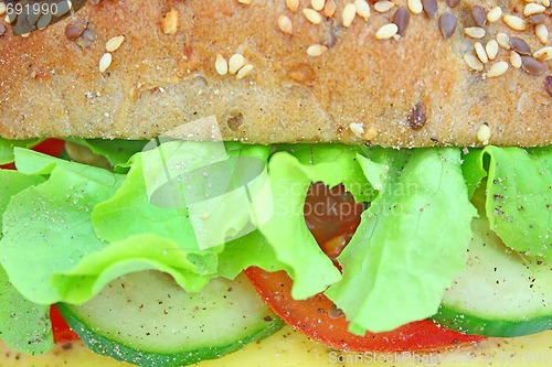 Image of Fresh sandwich with cheese and vegetables