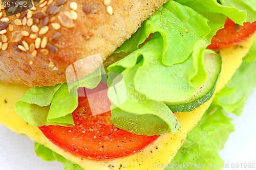 Image of Fresh sandwich with cheese and vegetables