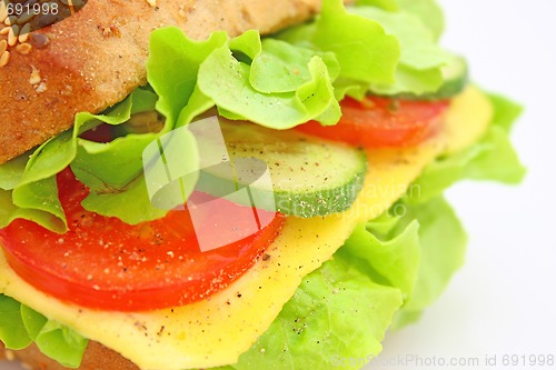 Image of Fresh sandwich with cheese and vegetables