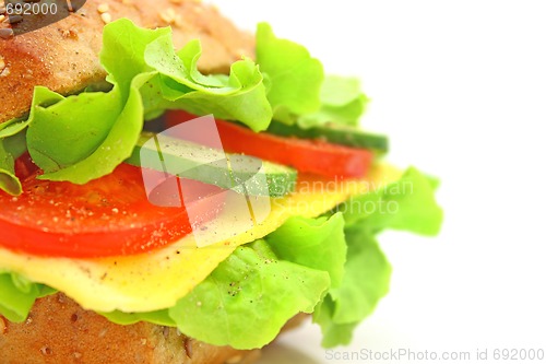 Image of Fresh sandwich with cheese and vegetables