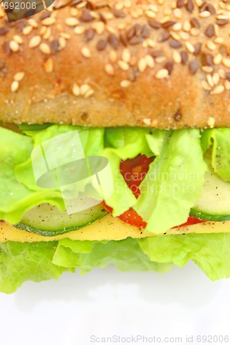 Image of Fresh sandwich with cheese and vegetables