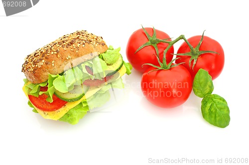 Image of Fresh sandwich with cheese and vegetables