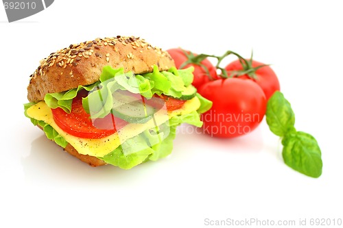 Image of Fresh sandwich with cheese and vegetables