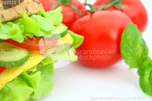 Image of Fresh sandwich with cheese and vegetables