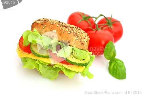 Image of Fresh sandwich with cheese and vegetables