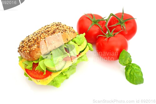 Image of Fresh sandwich with cheese and vegetables