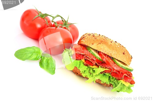 Image of Fresh sandwich with salami cheese and vegetables