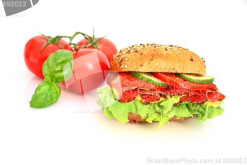 Image of Fresh sandwich with salami cheese and vegetables