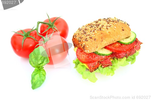 Image of Fresh sandwich with salami cheese and vegetables