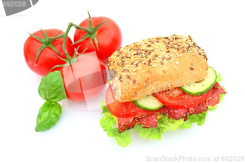 Image of Fresh sandwich with salami cheese and vegetables