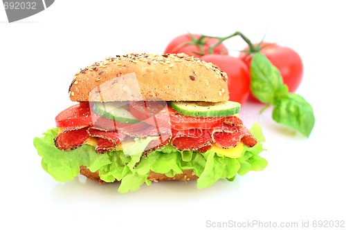 Image of Fresh sandwich with salami cheese and vegetables